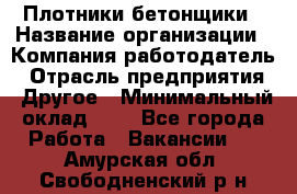 Плотники-бетонщики › Название организации ­ Компания-работодатель › Отрасль предприятия ­ Другое › Минимальный оклад ­ 1 - Все города Работа » Вакансии   . Амурская обл.,Свободненский р-н